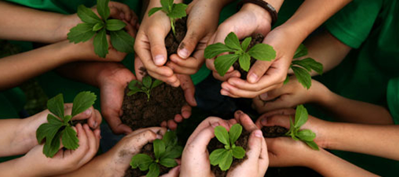 The Environment Club